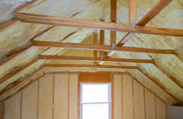 Best Specialized Insulation Services in Kouts, IN