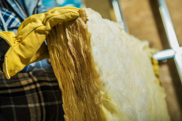 Best Cellulose Insulation in Kouts, IN